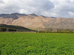 9000 m² Farmland in Montagu