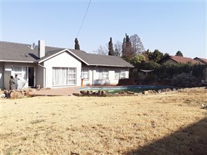 3 Bed House in Hazel Park