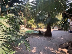 3 Bed House in Northmead