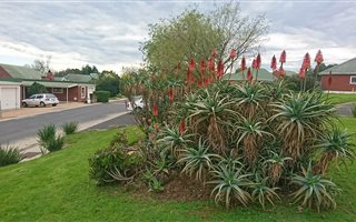 3 Bedroom Townhouse in Wellington Central