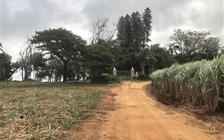 1.7 ha Farm in Empangeni