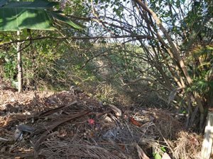 1370 m² Land available in Uvongo