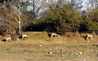 933 m² Land available in Heidelberg Kloof Estate