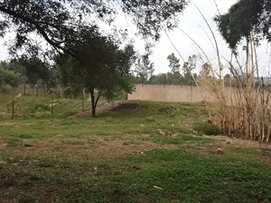3.3 ha Farm in Muldersdrift