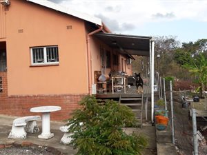 3 Bed House in Springfield