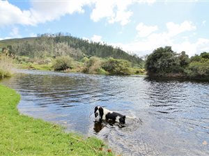17.8 ha Farm in Knysna Central