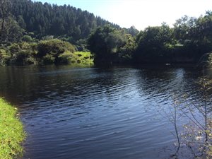 17.8 ha Farm in Knysna Central