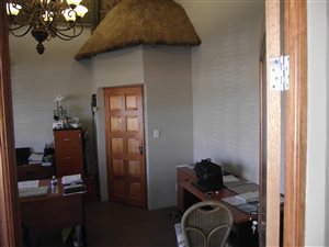 500 ha Farm in Boshof