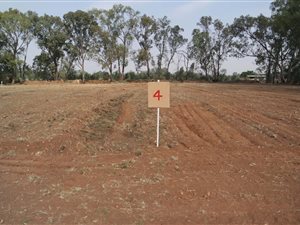 1000 m² Land available in Kookrus