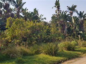 2863 m² Land available in Palm Beach