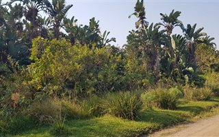 2863 m² Land available in Palm Beach