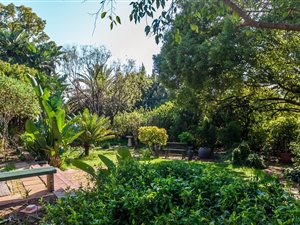 4 Bed House in Wellington Central