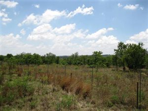 28 ha Land available in Rietfontein