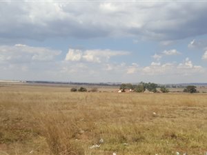 68.5 ha Farm in Mapleton