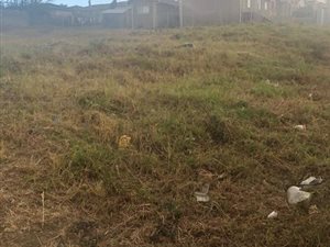 650 m² Land available in Bisley