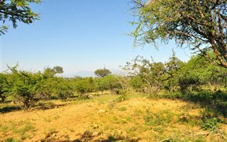 4900 m² Land available in Hoedspruit Wildlife Estate
