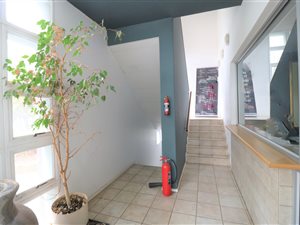163 m² Office Space in Auckland Park