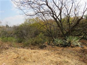 2465 m² Land available in Lynnwood