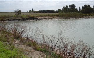 3 ha Farm with House in Deneysville