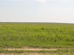 899 ha Land available in Winburg