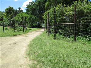 130 ha Farm in Ashburton