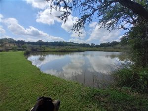 5 ha Farm in Zwavelpoort