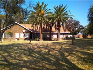 30.2 ha Farm in Modimole (Nylstroom)