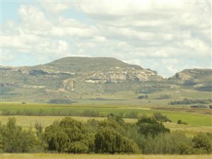 85 ha Farm in Bethlehem