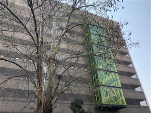 1233 m² Commercial space in Bedfordview