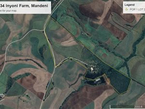 23.6 ha Farm in Mandini