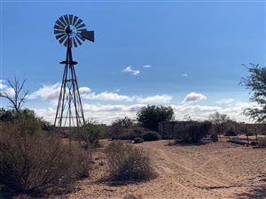 2999 ha Farm in Kenhardt