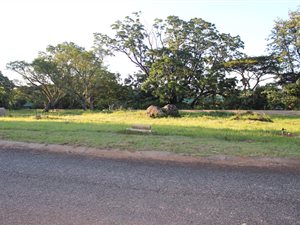 600 m² Land available in White River