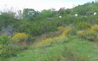 829 m² Land available in Kanonkop