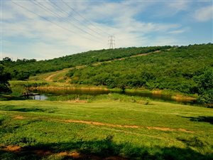 145 ha Farm in Ashburton