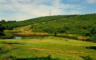 145 ha Farm in Ashburton