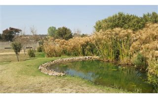 605 m² Land available in Newmark Estate