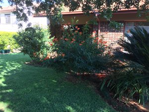 3 Bed House in Waverley
