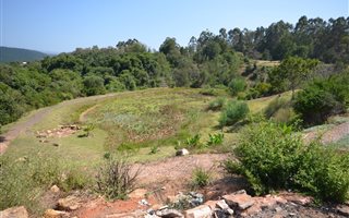 11.2 ha Farm in Wittedrift