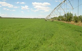 111 ha Farm in Hartswater