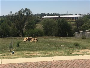 969 m² Land available in Helderfontein Estate