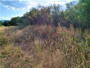 7585 m² Land available in Mokopane
