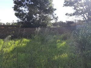 1930 m² Land available in Struisbult