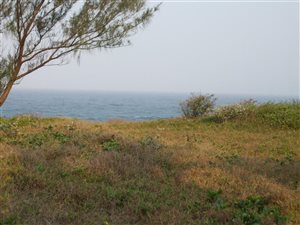 1030 m² Land available in Tinley Manor Beach
