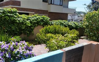 2 Bedroom Apartment in Gardens