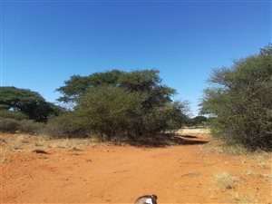 1050 m² Land available in Kathu