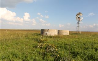 542 ha Farm in Theunissen