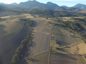 14 ha Farm in Hartenbos