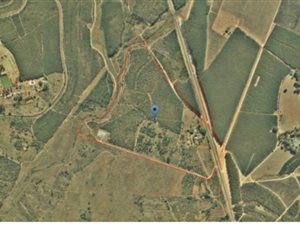 58.2 ha Farm in White River