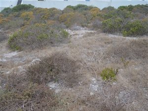 400 m² Land available in Paradise Beach
