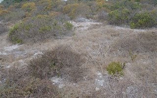 400 m² Land available in Paradise Beach